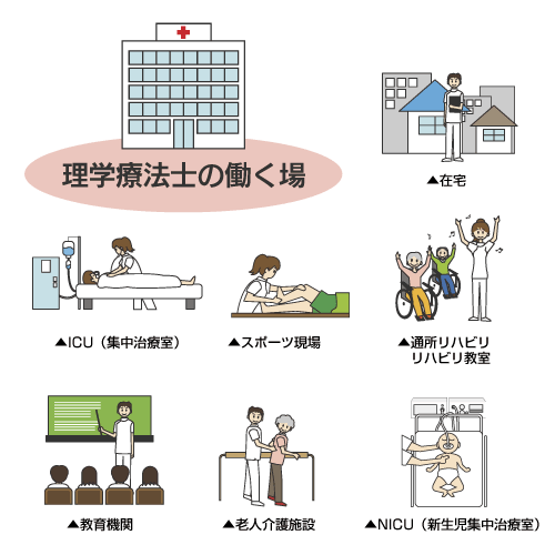 理学療法士の働く場